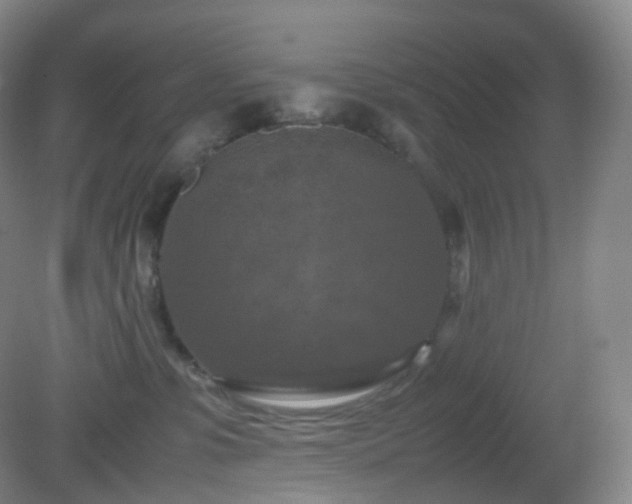 X0000081310331200701181908