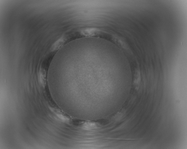 X0000081310332200701181908