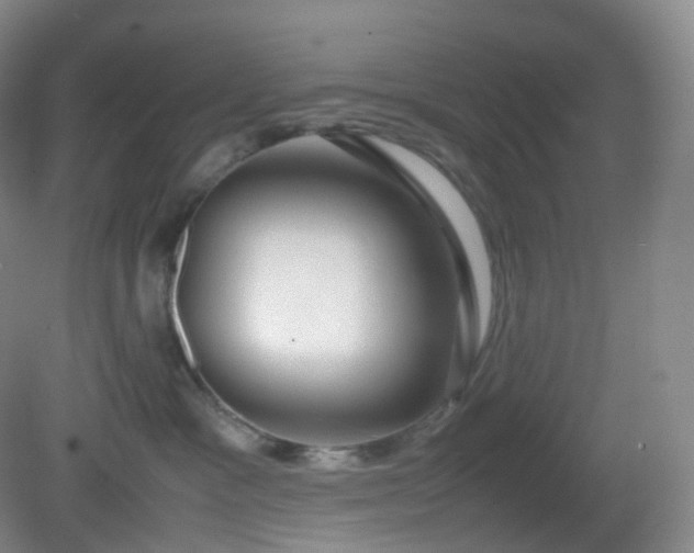 X0000081310333200701181908