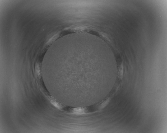 X0000081310335200701181908