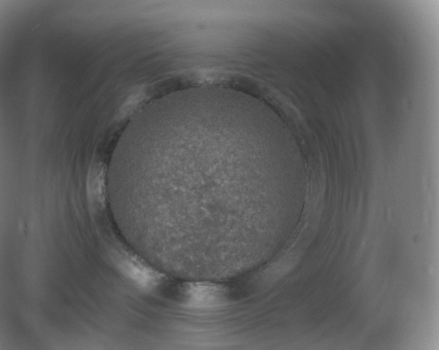 X0000081310336200701181908