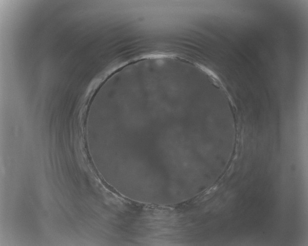 X0000081310337200701181908