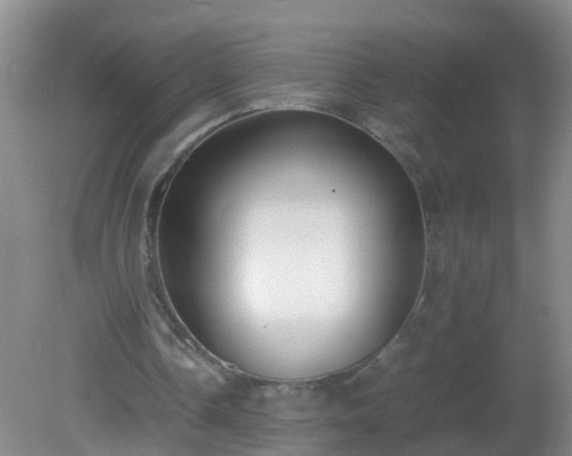 X0000081310338200701181908