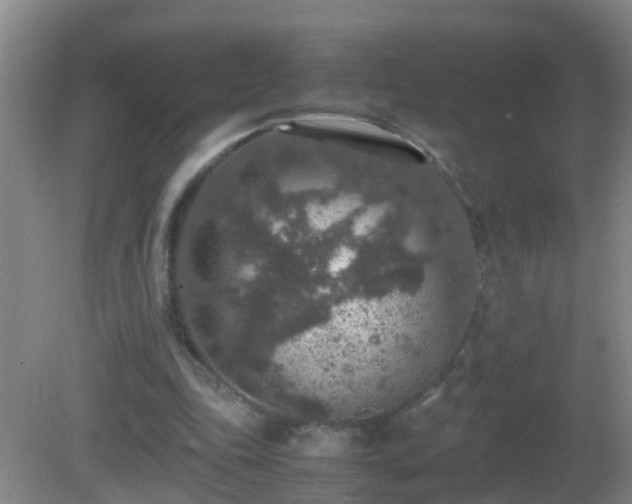 X0000081310343200701181908