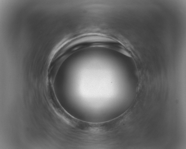 X0000081310344200701181908