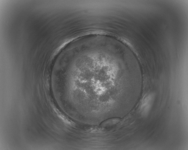 X0000081310345200701181908