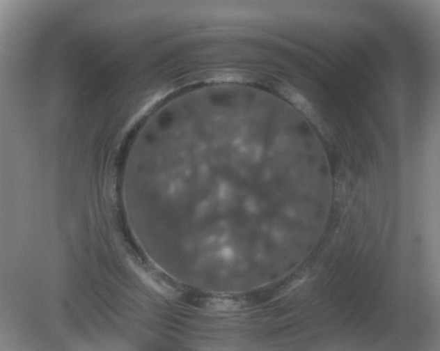 X0000081310347200701181908