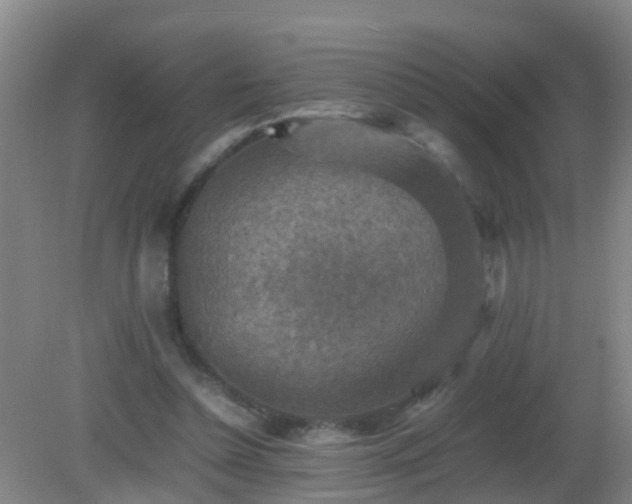 X0000081310348200701181908