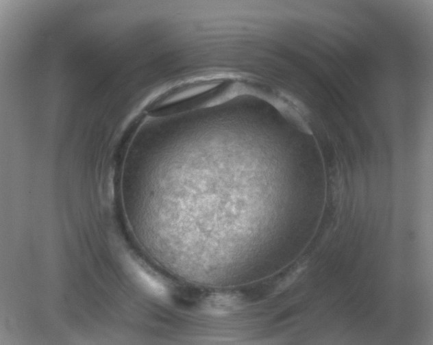 X0000081310350200701181908