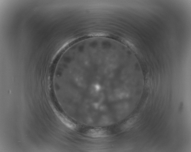 X0000081310351200701181908