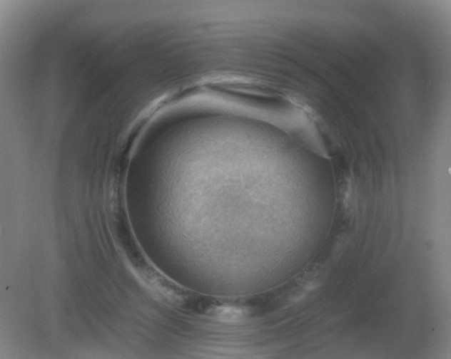 X0000081310352200701181908