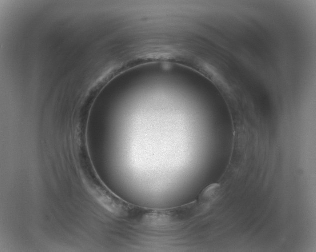 X0000081310354200701181908