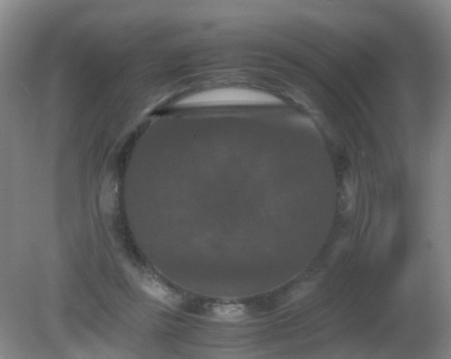 X0000081310355200701181908