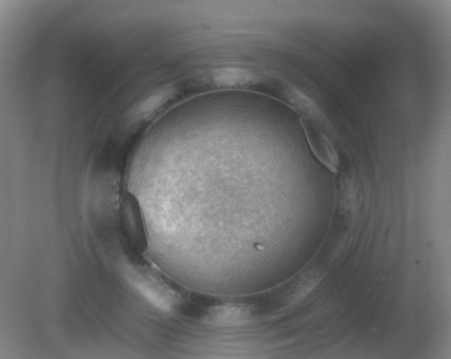 X0000081310356200701181908