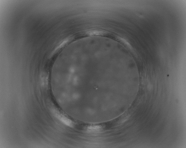 X0000081310357200701181908