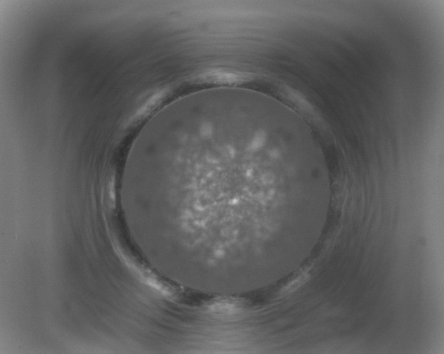 X0000081310358200701181908