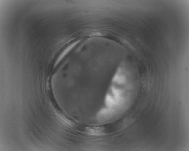 X0000081310359200701181908