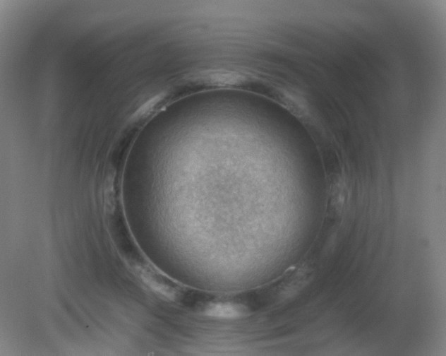 X0000081310360200701181908