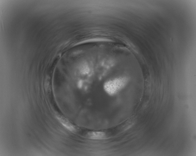 X0000081310361200701181908