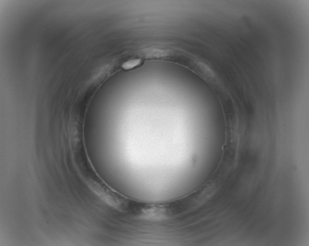 X0000081310362200701181908