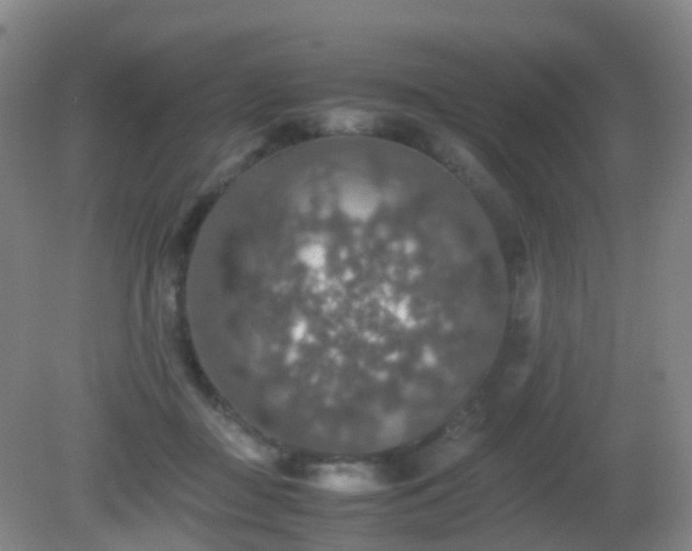 X0000081310363200701181908