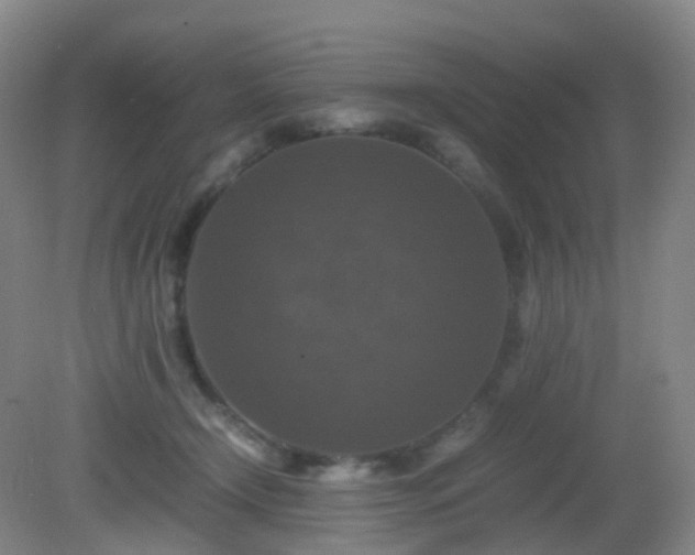 X0000081310366200701181908