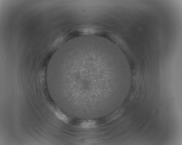 X0000081310369200701181908