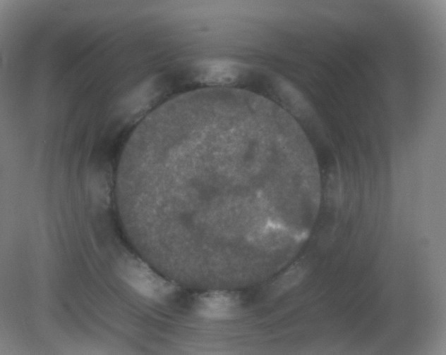 X0000081310370200701181908