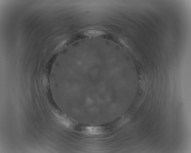 X0000081310371200701181908