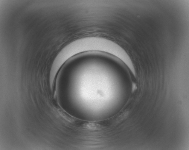 X0000081310372200701181908