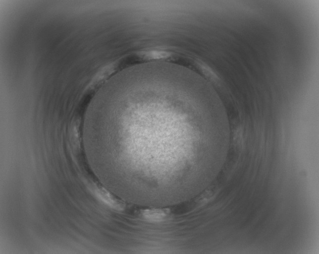 X0000081310373200701181908