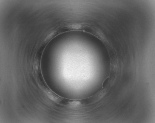 X0000081310374200701181908