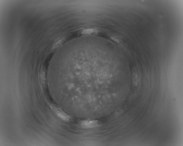 X0000081310375200701181908