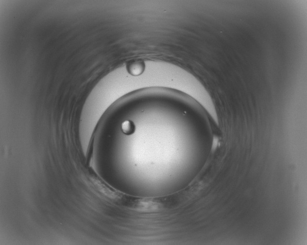 X0000081310376200701181908