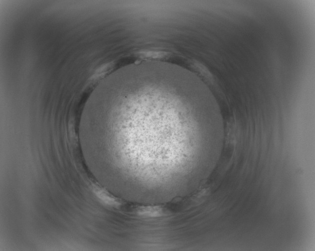 X0000081310377200701181908