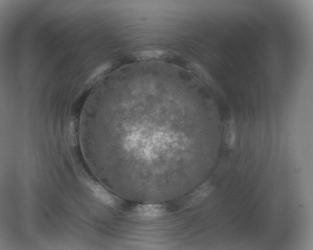 X0000081310378200701181908