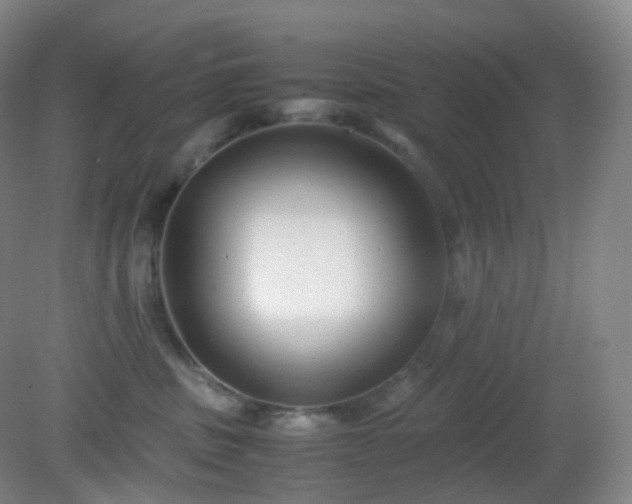 X0000081310379200701181908