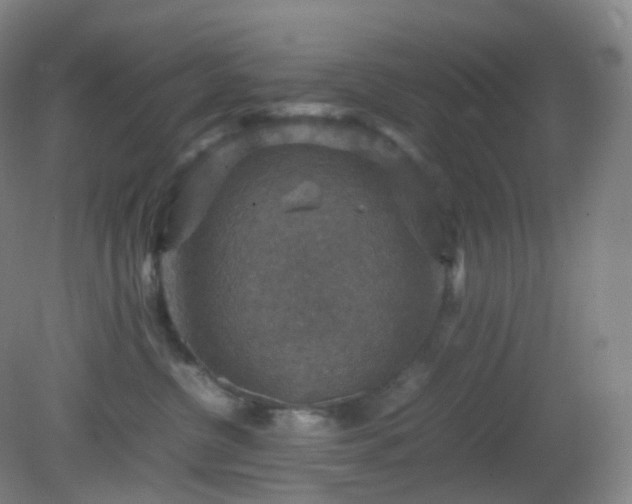 X0000081310380200701181908