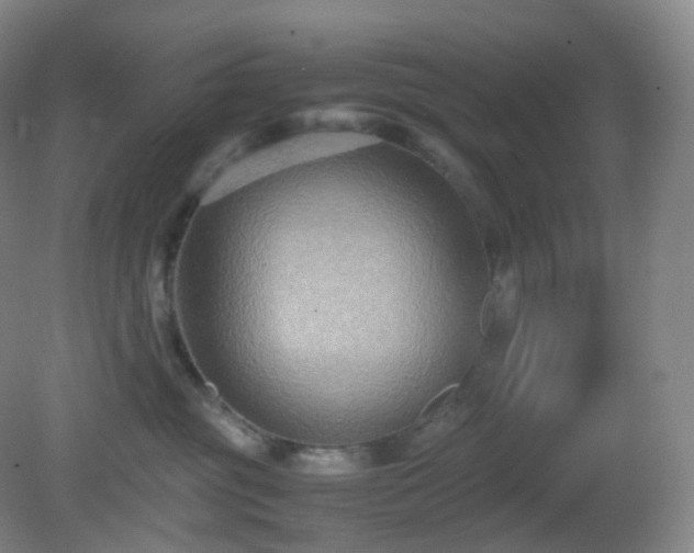 X0000081310381200701181908