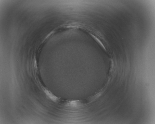 X0000081310382200701181908