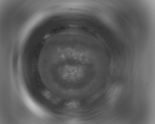 X0000081310383200701181908