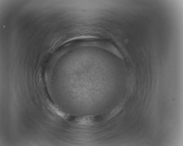 X0000081310384200701181908