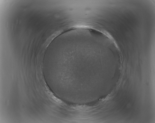 X0000081310385200701181908