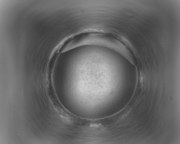 X0000081310388200701181908