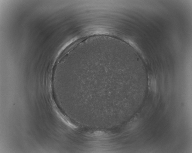 X0000081310390200701181908