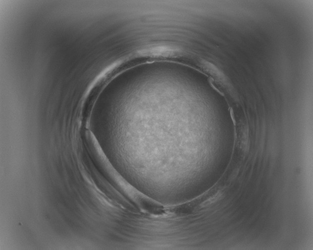 X0000081310392200701181907