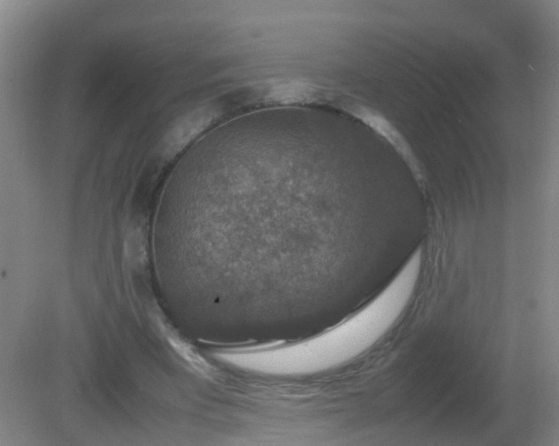 X0000081310393200701181907