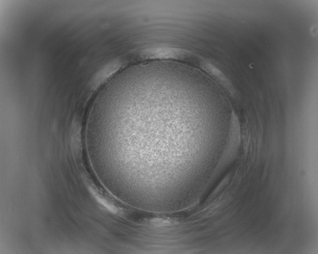 X0000081310394200701181907