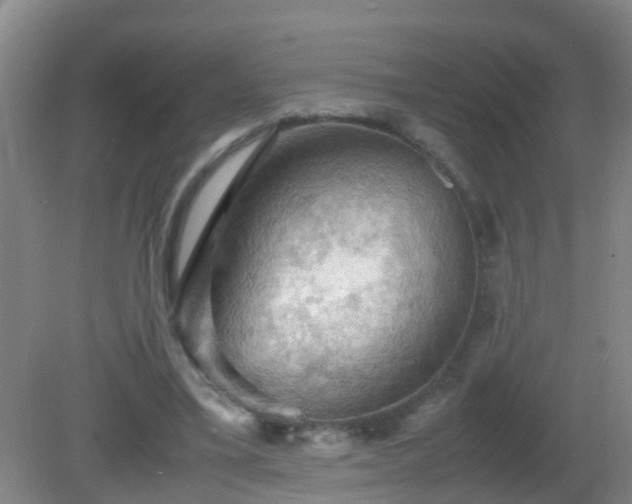 X0000081310395200701181907