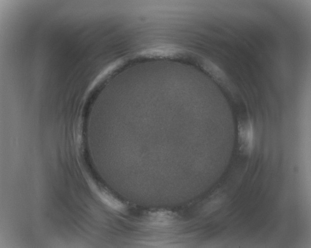 X0000081310396200701181907